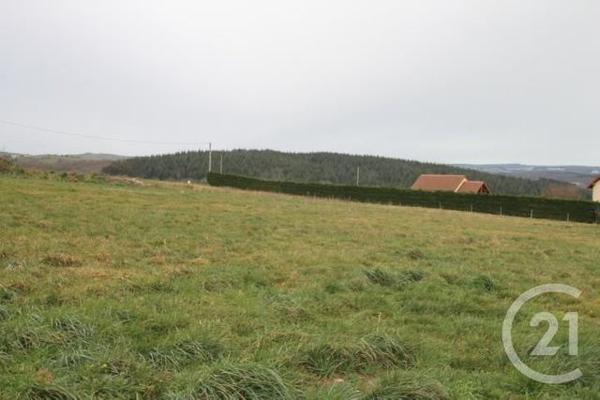 terrain à vendre 1475 m2 ST QUINTIN SUR SIOULE - 63