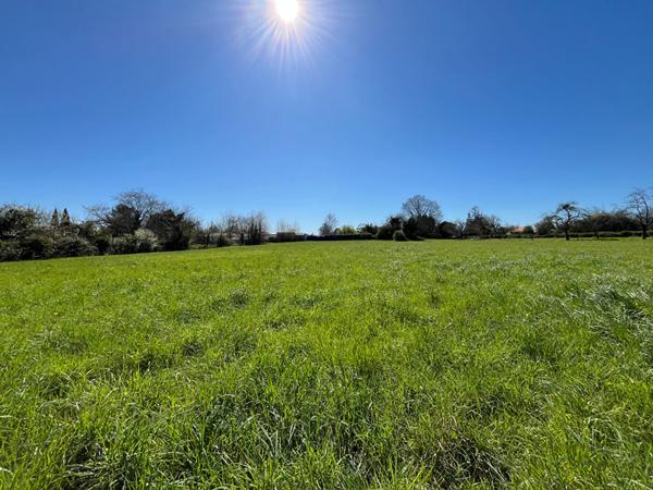 Grand terrain constructible de 4 511 m²