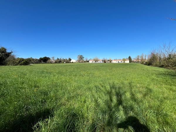 Grand terrain constructible de 4 511 m²