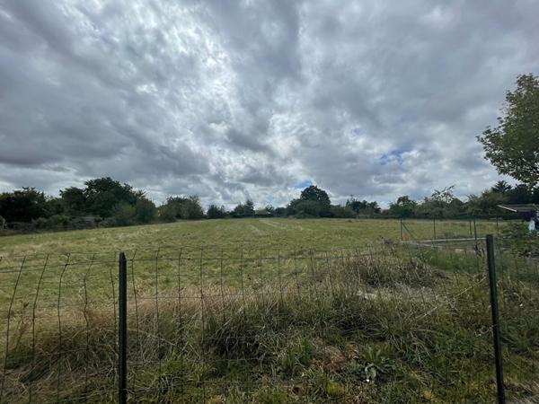 Grand terrain constructible de 4 511 m²