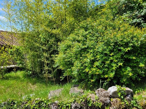 Vente Maison 4 pièces 180 m2 à Leychert