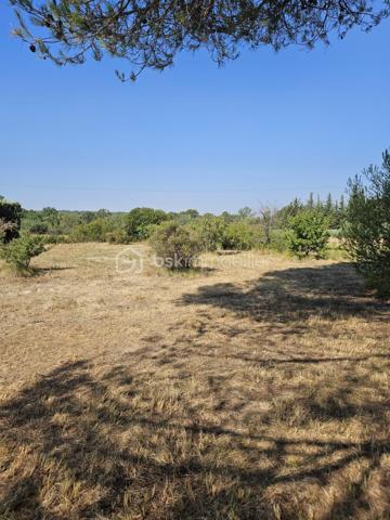 Exclusivité - Au cœur d'un environnement naturel préservé, découvrez cette propriété pleine de charme offrant un potentiel de rénovation exceptionnel. Située sur le village recherché de Ventabren situé à 15 min de la gare TGV et à 15 min de l'aéroport.

Édifiée sur une magnifique parcelle arborée de plus de 4 800 m², en zone naturelle, cette maison séduira les amoureux de nature, de calme et des projets de rénovation.

La maison développe 146 m² habitables de plain-pied principalement, offrant une distribution des pièces cohérente et fonctionnelle, comprenant actuellement :
- une entrée,
- un grand séjour avec une cuisine ouverte d'environ 50 m², avec véranda attenante
- une grande arrière cuisine 
- trois chambres,
- une salle de bains
- WC séparé
- un espace nuit supplémentaire ou bureau dans les combles de 12m2

Elle bénéficie également de plus de 80 m² d'espaces annexes, offrant de nombreuses possibilités d'utilisation, sous réserve des autorisations d'urbanisme éventuellement requises :
- un garage d'environ 27 m²
- un atelier d'environ 24 m²
- une véranda d'environ 21 m²
- une véranda d'entrée d'environ 15 m²

La toiture a été refaite il y a 10 ans, constituant un atout appréciable dans le cadre de la rénovation.

L'ensemble nécessite aujourd'hui une rénovation complète, laissant libre cours à tous vos projets d'aménagement et de personnalisation.
L'installation d'assainissement individuel est non conforme.

Les atouts:
- 134 m² habitables de plain-pied.
- Plus de 4 800 m² de terrain arboré.
- Secteur recherché de Ventabren.
- Environnement calme, sans vis-à-vis.
- Nombreuses annexes et possibilités
- Toiture récente
- Très fort potentiel de valorisation.

Un bien rare destiné aux amateurs de rénovation souhaitant créer un lieu de vie unique dans l'un des secteurs les plus recherchés de Ventabren.
Un véritable écrin de nature, à découvrir sans tarder