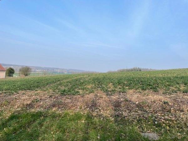BONNES  terrain de 3600 m²