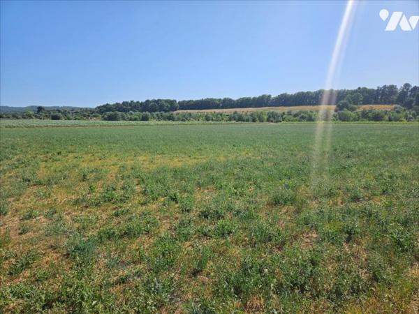 Hangar et terres Agricoles