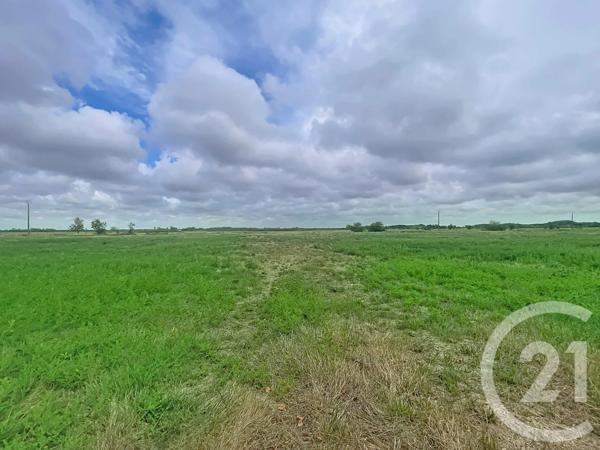 Maison à vendre  5 pièces - 190 m 2   ST HILAIRE DE RIEZ  - 85
