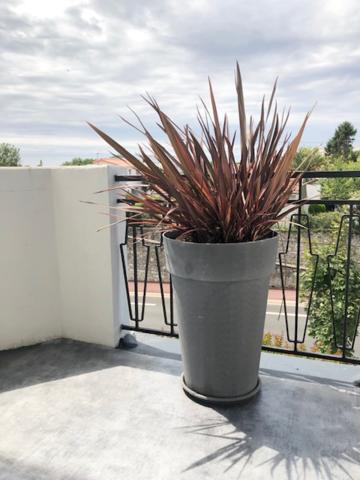 Maison 6 pièce(s) 4 chambre(s) 150 m²