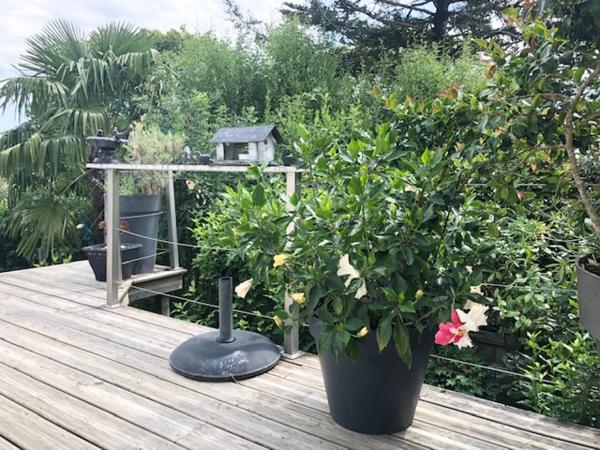 Maison 6 pièce(s) 4 chambre(s) 150 m²