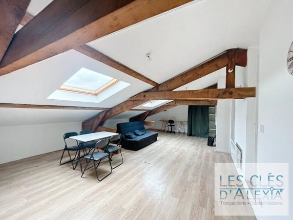 APPARTEMENT T3 - SAINT ETIENNE