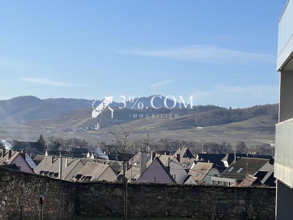 Appartement 2 pièce(s) 1 chambre(s) 46 m²