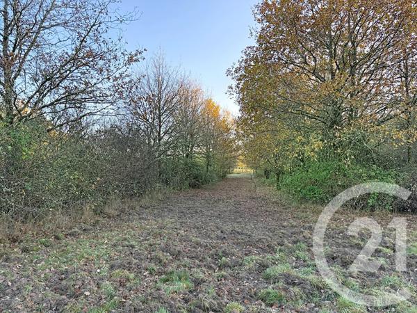 Maison à vendre  6 pièces - 209,04 m2 OLIVET - 45