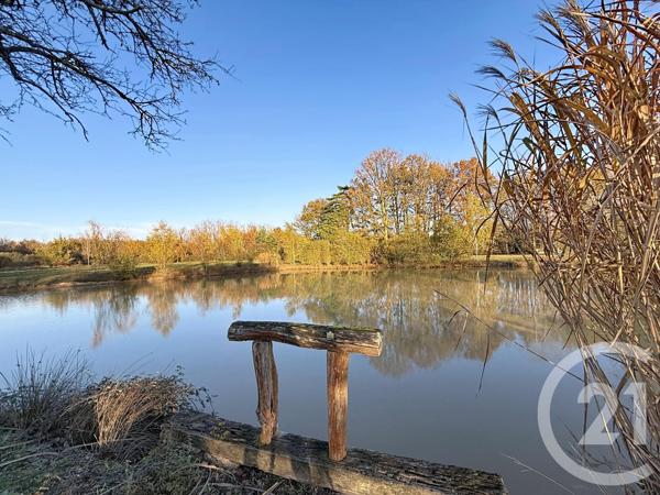 Maison à vendre  6 pièces - 209,04 m2 OLIVET - 45