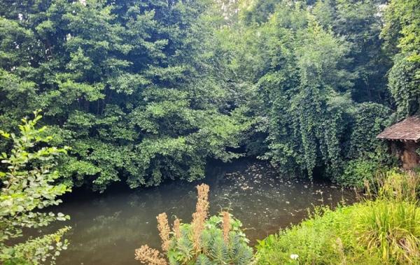 Vente Maison Nogent-le-rotrou   