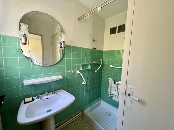 Maison 6 pièces et batiment annexe avec appartement de type II - SAINT BENOIT Saint-Benoît (86280)