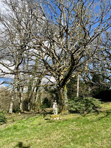 Maison 6 pièces et batiment annexe avec appartement de type II - SAINT BENOIT Saint-Benoît (86280)