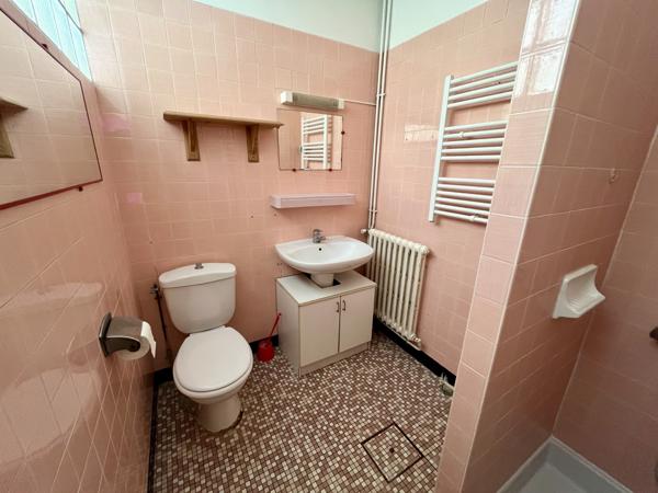 Maison 6 pièces et batiment annexe avec appartement de type II - SAINT BENOIT Saint-Benoît (86280)