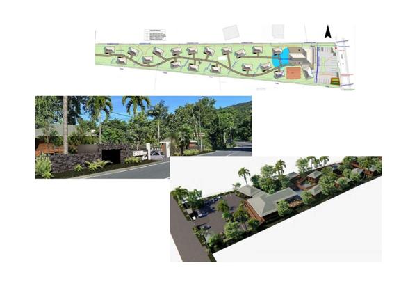 Pointe-Noire (97116) Opportunité Unique pour un Projet Touristique sur la Côte sous le vent- 1 Hectare de Terrain Idéalement situé