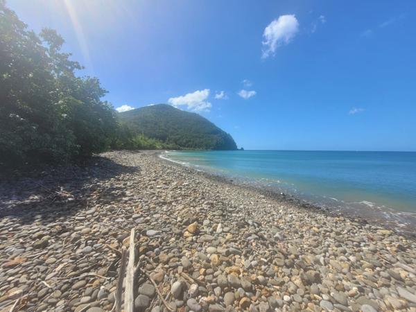 Pointe-Noire (97116) Opportunité Unique pour un Projet Touristique sur la Côte sous le vent- 1 Hectare de Terrain Idéalement situé