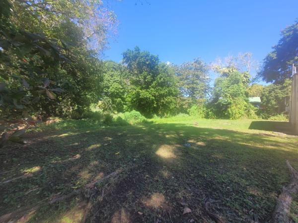 Pointe-Noire (97116) Opportunité Unique pour un Projet Touristique sur la Côte sous le vent- 1 Hectare de Terrain Idéalement situé