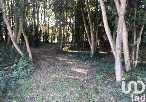 Terrain à vendre 1 690 m² Nailly