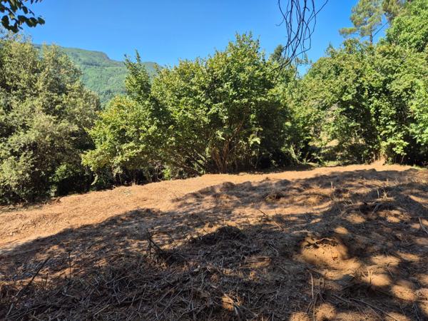 Terrain à vendre  LE COLLET DE DEZE (48)