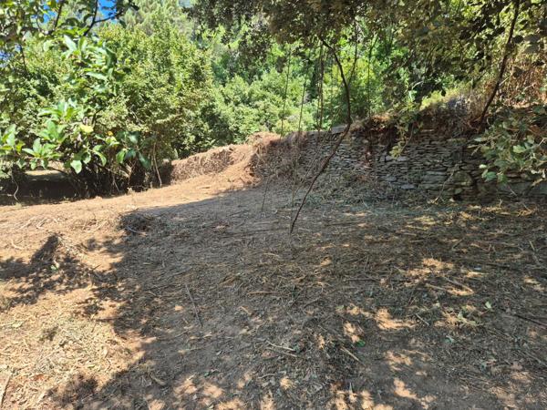 Terrain à vendre  LE COLLET DE DEZE (48)
