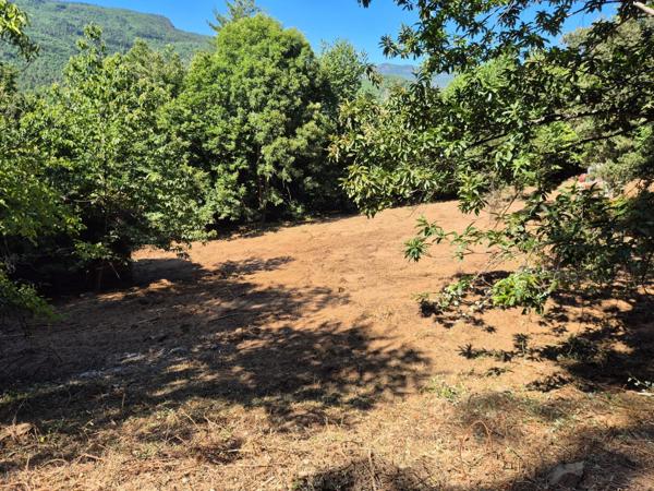 Terrain à vendre  LE COLLET DE DEZE (48)