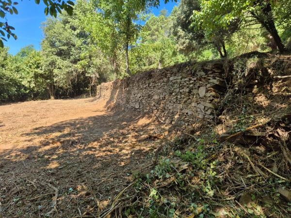 Terrain à vendre  LE COLLET DE DEZE (48)