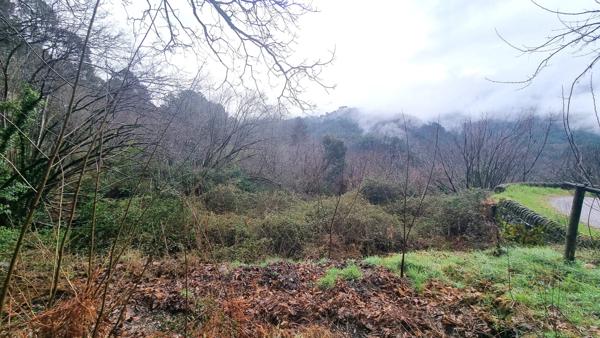 Terrain à vendre  LE COLLET DE DEZE (48)