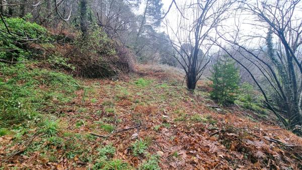 Terrain à vendre  LE COLLET DE DEZE (48)