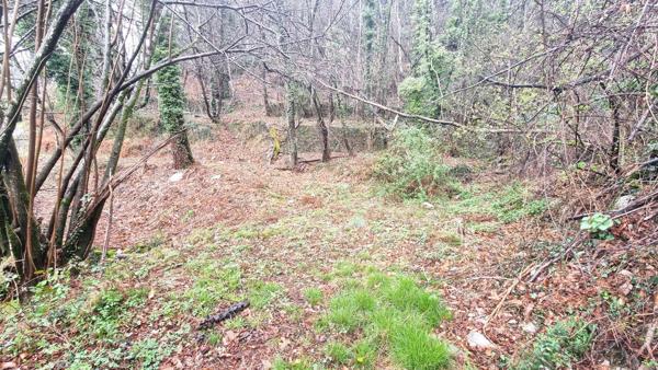 Terrain à vendre  LE COLLET DE DEZE (48)