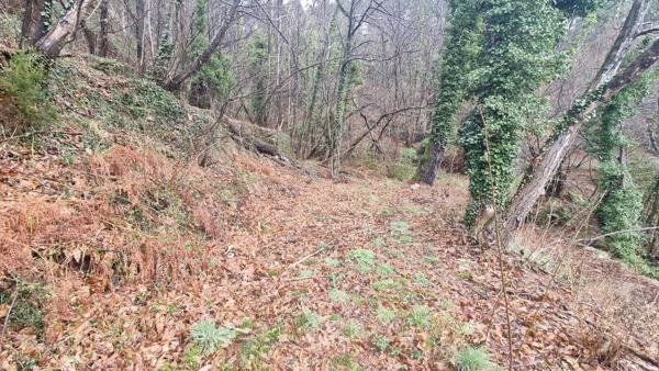 Terrain à vendre  LE COLLET DE DEZE (48)