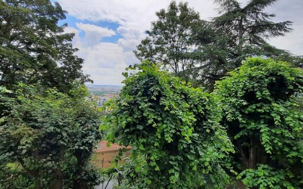 Appartement à louer    1 pièce •  Sainte-Foy-lès-Lyon