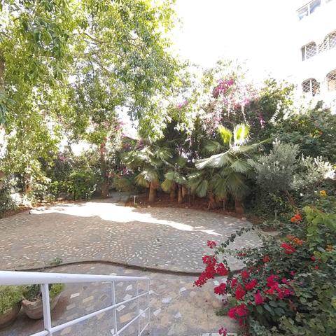 Local commercial Casablanca 555 m2