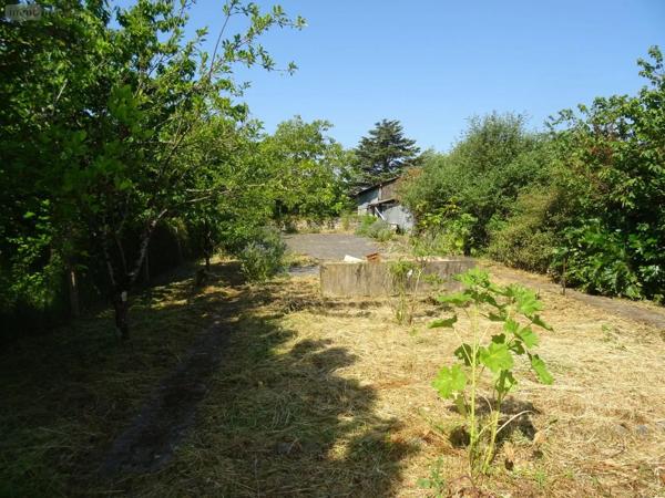 Achat - Maison | Maison rurale Archigny 86210 6 pièces 135 m 2 999 m 2