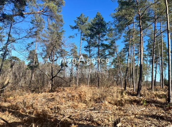 Terrain à CHANCELADE, 24650 - 17000m²