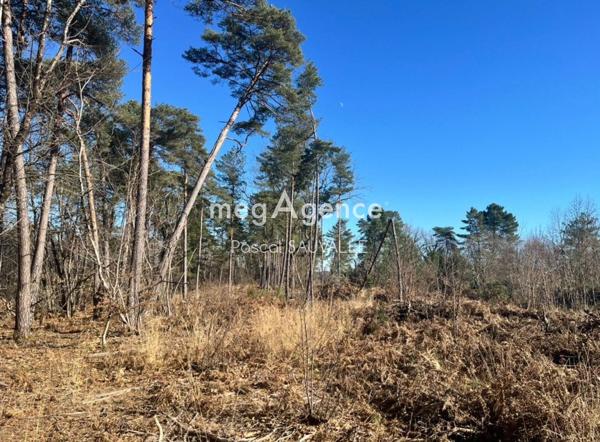 Terrain à CHANCELADE, 24650 - 17000m²