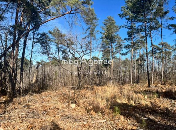 Terrain à CHANCELADE, 24650 - 17000m²