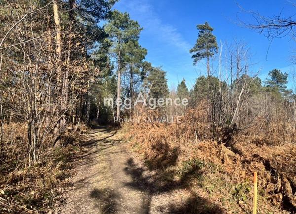 Terrain à CHANCELADE, 24650 - 17000m²