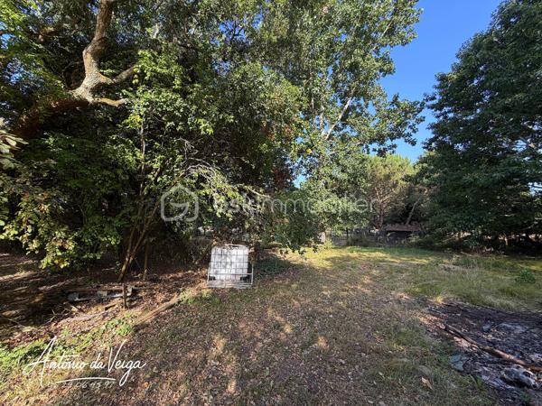 Cette maison de campagne située dans un environnement calme offre un cadre de vie idéal pour ceux qui recherchent espace, nature et tranquillité. Avec ses 3 chambres, ses dépendances, ses deux garages et son terrain d'environ 3 233 m², elle réunit tous les atouts d’une propriété recherchée.
⭐ Points forts de la propriété
•	Maison de campagne spacieuse avec fort potentiel
•	Salon séjour lumineux avec vue dégagée
•	Trois chambres confortables
•	Cuisine indépendante
•	Salle de bain fonctionnelle
•	Buanderie + cave
•	Deux garages, parfaits pour stockage ou atelier
•	Terrain constructible de 3 233 m², idéal pour jardin, loisirs ou projets extérieurs
🏠 Description détaillée de la maison
Cette maison de campagne se distingue par son salon séjour chaleureux, baigné de lumière naturelle. La cuisine indépendante offre de nombreuses possibilités d’aménagement pour créer un espace moderne et convivial.
La partie nuit comprend trois chambres, parfaites pour une famille, un projet locatif ou un espace de télétravail. Les annexes — buanderie, cave et double garage — apportent un confort supplémentaire très recherché.
À l’extérieur, le terrain de 3 233 m² permet d’imaginer un jardin paysager, une terrasse, un potager ou même une piscine selon les envies.