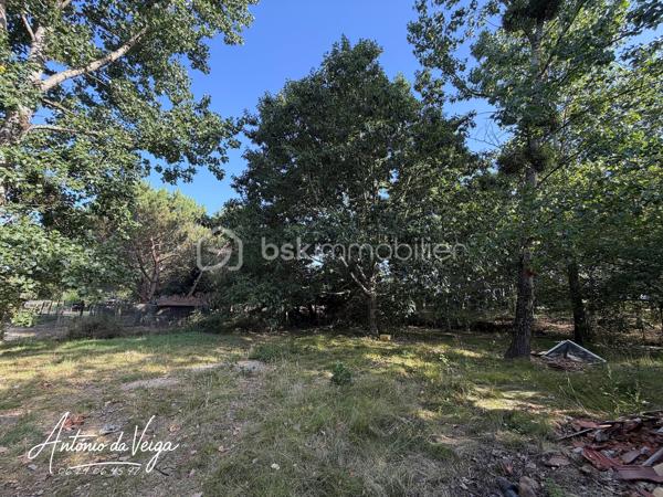 Cette maison de campagne située dans un environnement calme offre un cadre de vie idéal pour ceux qui recherchent espace, nature et tranquillité. Avec ses 3 chambres, ses dépendances, ses deux garages et son terrain d'environ 3 233 m², elle réunit tous les atouts d’une propriété recherchée.
⭐ Points forts de la propriété
•	Maison de campagne spacieuse avec fort potentiel
•	Salon séjour lumineux avec vue dégagée
•	Trois chambres confortables
•	Cuisine indépendante
•	Salle de bain fonctionnelle
•	Buanderie + cave
•	Deux garages, parfaits pour stockage ou atelier
•	Terrain constructible de 3 233 m², idéal pour jardin, loisirs ou projets extérieurs
🏠 Description détaillée de la maison
Cette maison de campagne se distingue par son salon séjour chaleureux, baigné de lumière naturelle. La cuisine indépendante offre de nombreuses possibilités d’aménagement pour créer un espace moderne et convivial.
La partie nuit comprend trois chambres, parfaites pour une famille, un projet locatif ou un espace de télétravail. Les annexes — buanderie, cave et double garage — apportent un confort supplémentaire très recherché.
À l’extérieur, le terrain de 3 233 m² permet d’imaginer un jardin paysager, une terrasse, un potager ou même une piscine selon les envies.