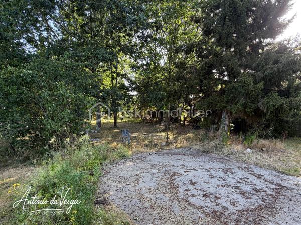 Cette maison de campagne située dans un environnement calme offre un cadre de vie idéal pour ceux qui recherchent espace, nature et tranquillité. Avec ses 3 chambres, ses dépendances, ses deux garages et son terrain d'environ 3 233 m², elle réunit tous les atouts d’une propriété recherchée.
⭐ Points forts de la propriété
•	Maison de campagne spacieuse avec fort potentiel
•	Salon séjour lumineux avec vue dégagée
•	Trois chambres confortables
•	Cuisine indépendante
•	Salle de bain fonctionnelle
•	Buanderie + cave
•	Deux garages, parfaits pour stockage ou atelier
•	Terrain constructible de 3 233 m², idéal pour jardin, loisirs ou projets extérieurs
🏠 Description détaillée de la maison
Cette maison de campagne se distingue par son salon séjour chaleureux, baigné de lumière naturelle. La cuisine indépendante offre de nombreuses possibilités d’aménagement pour créer un espace moderne et convivial.
La partie nuit comprend trois chambres, parfaites pour une famille, un projet locatif ou un espace de télétravail. Les annexes — buanderie, cave et double garage — apportent un confort supplémentaire très recherché.
À l’extérieur, le terrain de 3 233 m² permet d’imaginer un jardin paysager, une terrasse, un potager ou même une piscine selon les envies.
