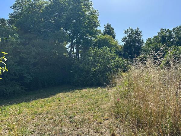 Terrain constructible