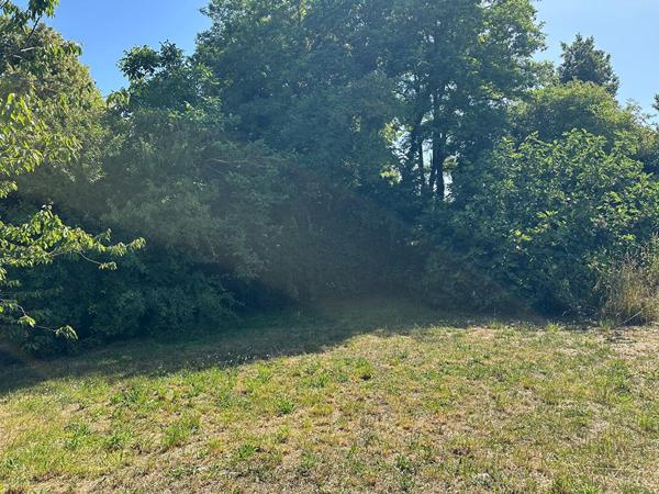 Terrain constructible