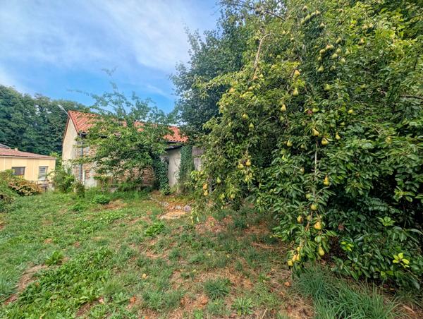 Maison à vendre à Châlus (87230) - Haute-Vienne