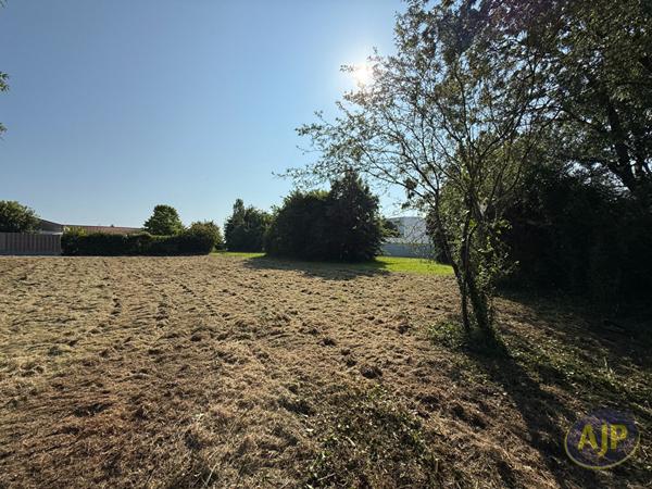 Vente terrain Sainte Pazanne : 65 000 € - AJP Immobilier Sainte-Pazanne