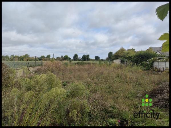 Terrain
        
        - 653 m² 227 700 € *