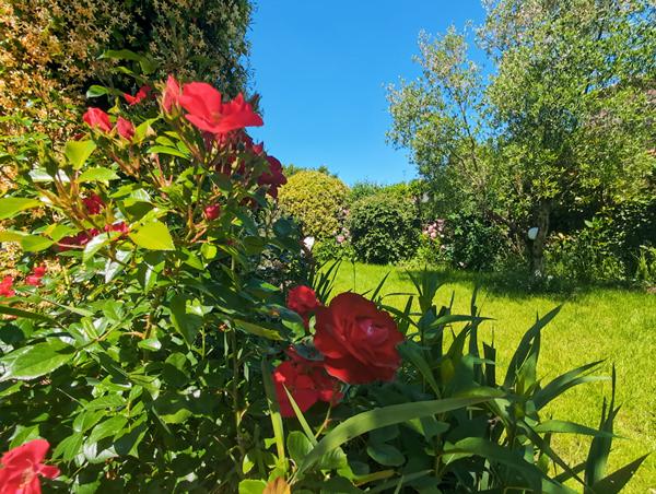 Maison Bruges 7 pièce(s) 212.39 m2