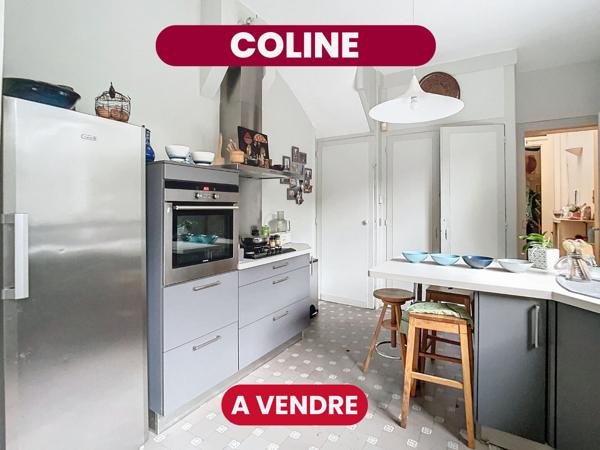 COLINE - Maison - 301 m2 - Roubaix secteur Barbieux