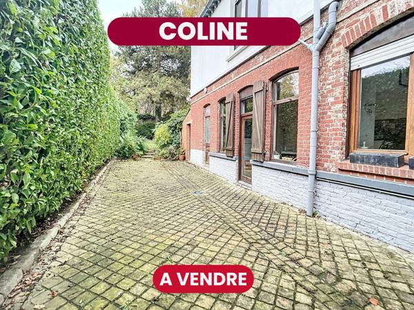 COLINE - Maison - 301 m2 - Roubaix secteur Barbieux