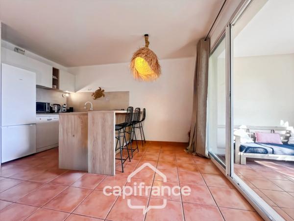 Appartement de 42 m2 rénové, avec jardin, climatisé, une chambre, une chambre cabine, une buanderie, un salle d'eau, loggia terrasse, place de parking